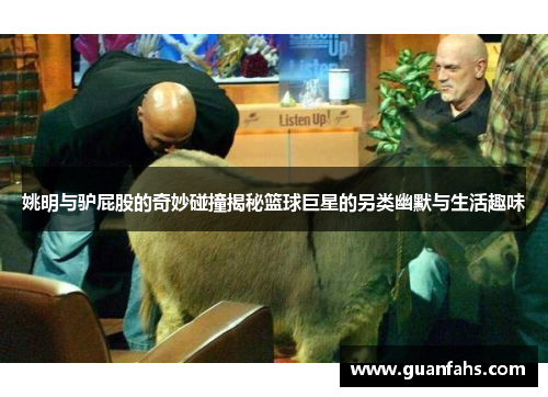 姚明与驴屁股的奇妙碰撞揭秘篮球巨星的另类幽默与生活趣味